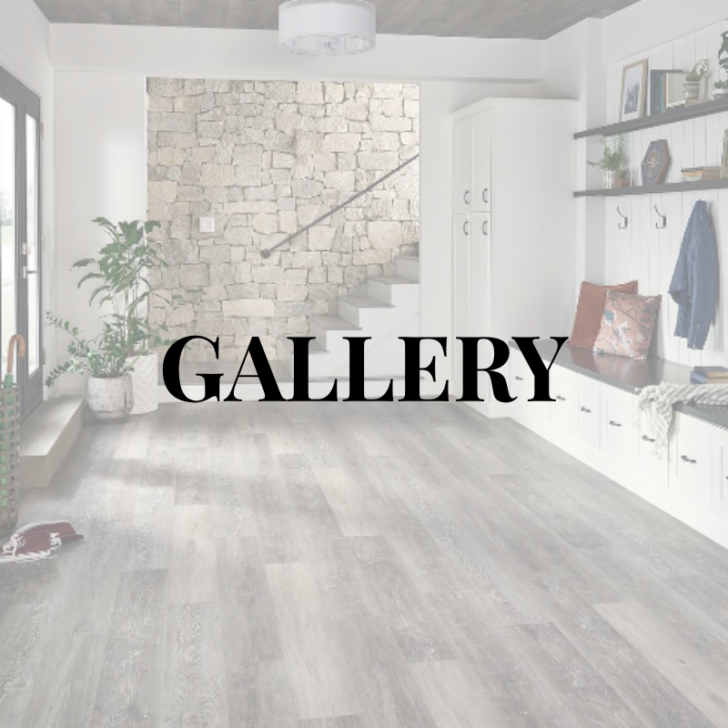 Gallery Gallery